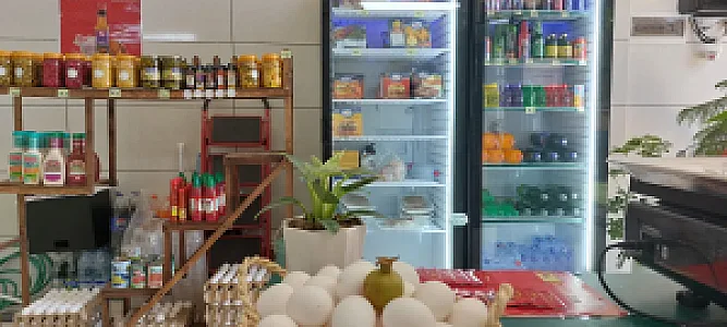 مرغ پروتئین سبز
