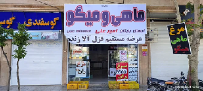 فروشگاه مرغ ماهی و میگو امیر علی