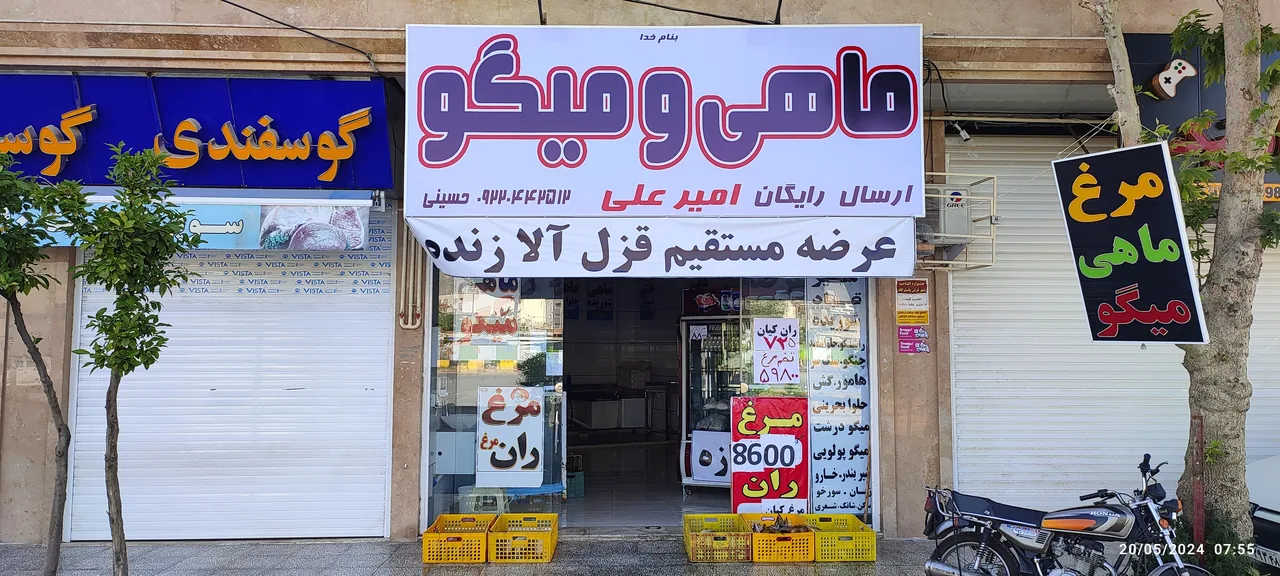 فروشگاه مرغ ماهی و میگو امیر علی