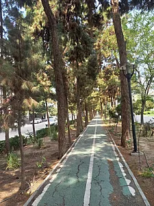 باغ رز