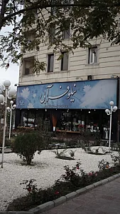 گل فروشی نیلوفر آبی