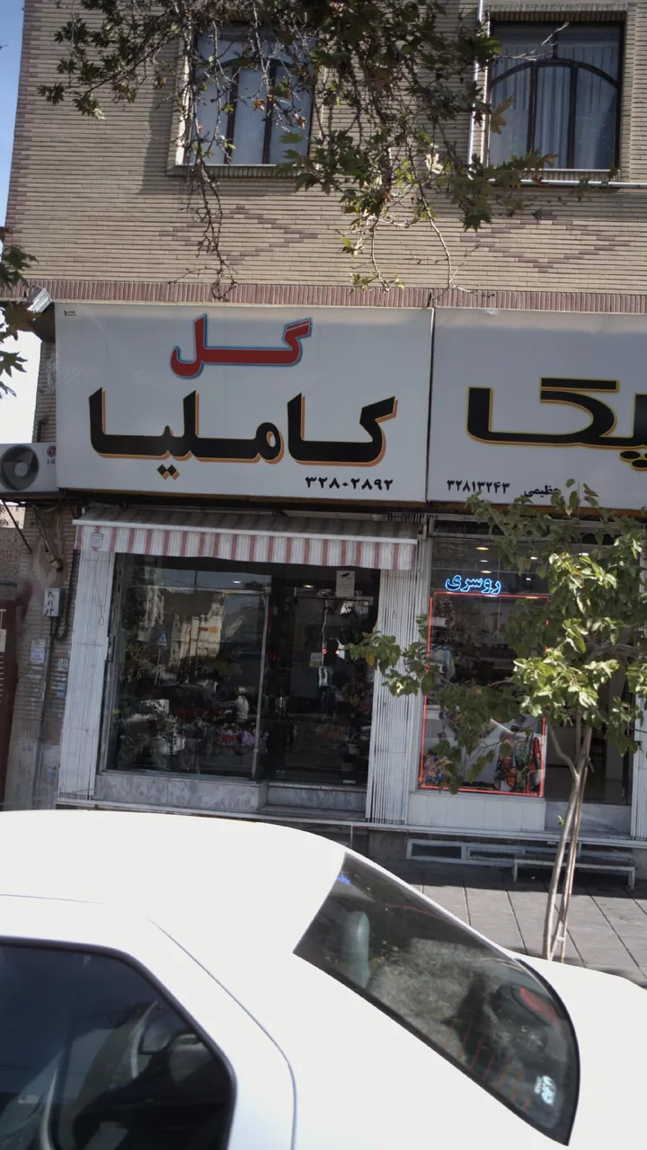 گل فروشی کاملیا