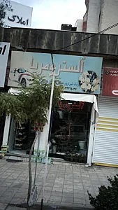 گلفروشی آلسترومریا