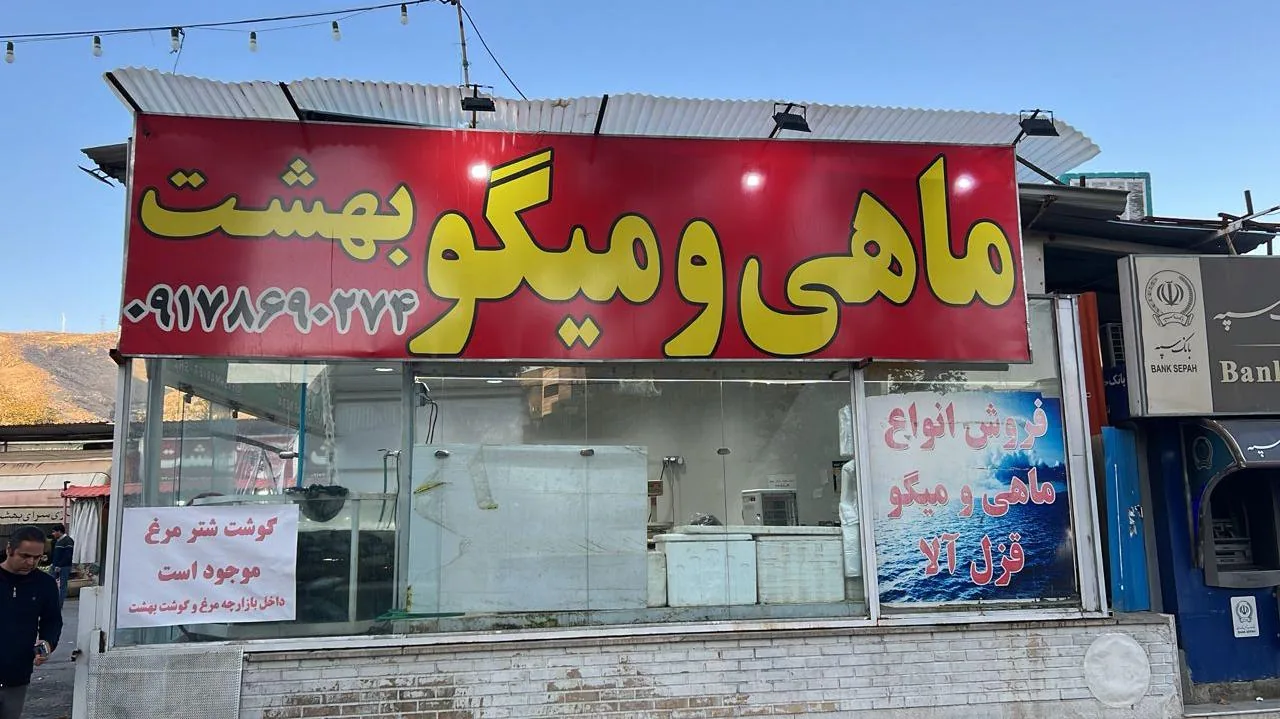 ماهی ومیگوبهشت - تصویر 2
