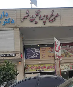 مرغ و پروتئین شهر