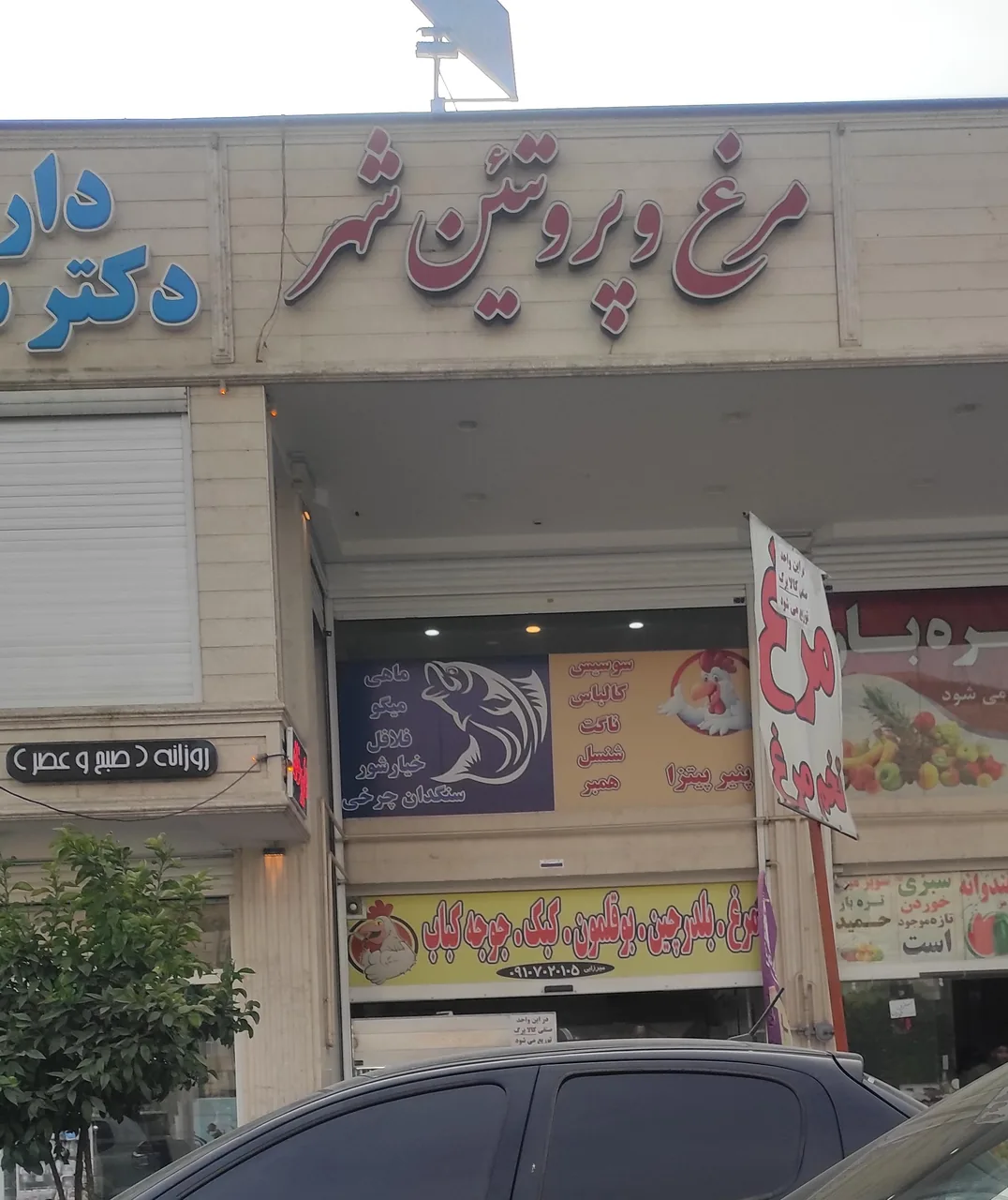 مرغ و پروتئین شهر