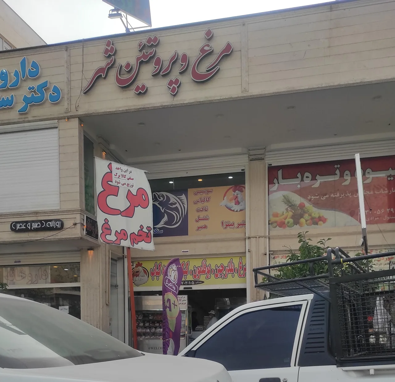 مرغ و پروتئین شهر - تصویر 2