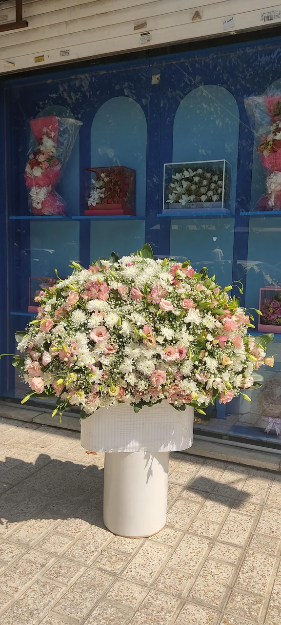 گل فروشی نیلوفر آبی - تصویر 4