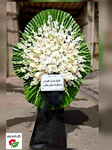 گلکده ترنم
