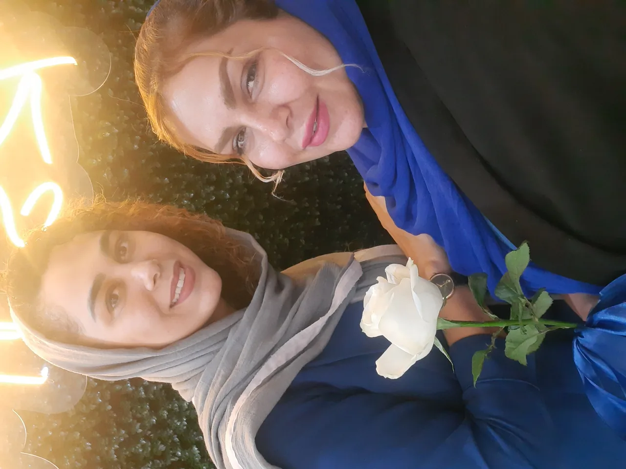 فیشیال و پاکسازی نگار - تصویر 2