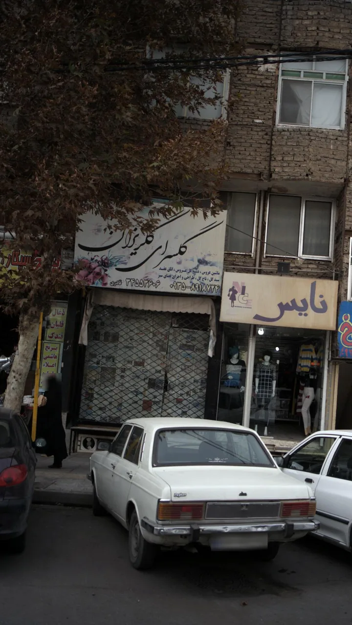 گلسرای گلریزان