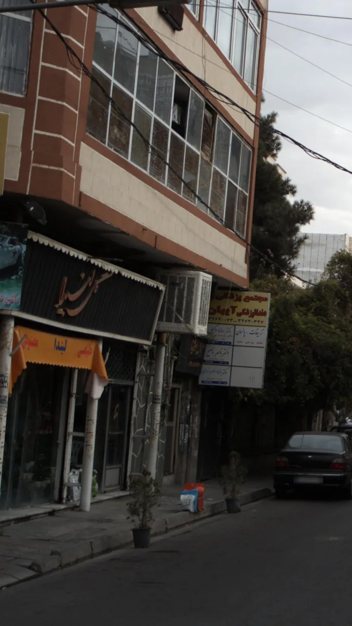 گل لیندا - تصویر 4