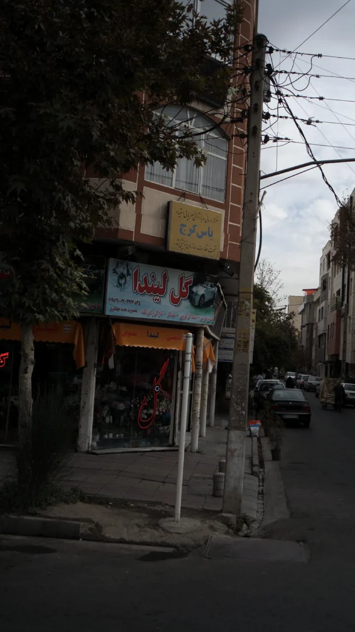 گل لیندا - تصویر 5