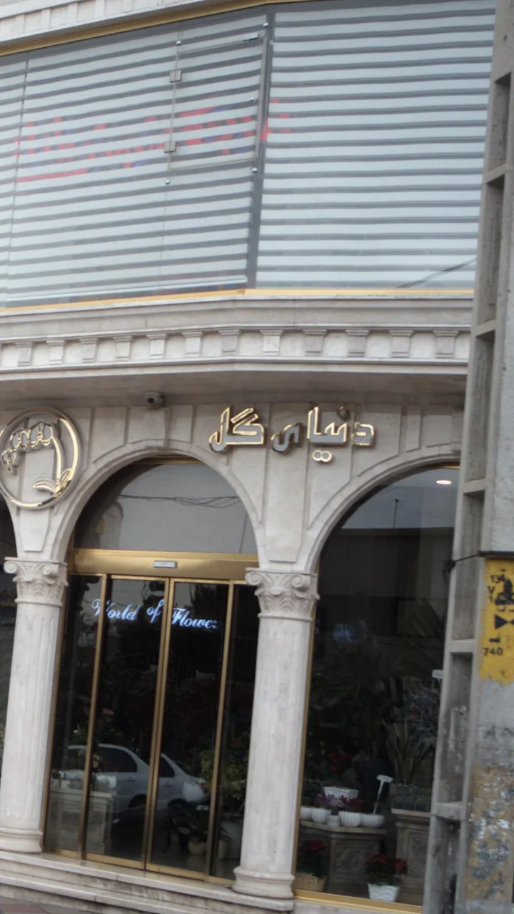 گلفروشی دنیای گل