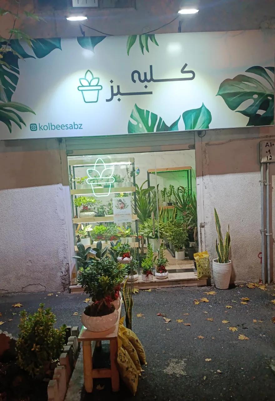 گل فروشی کلبه سبز - تصویر 6