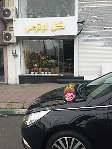 گل فروشی لوتوس
