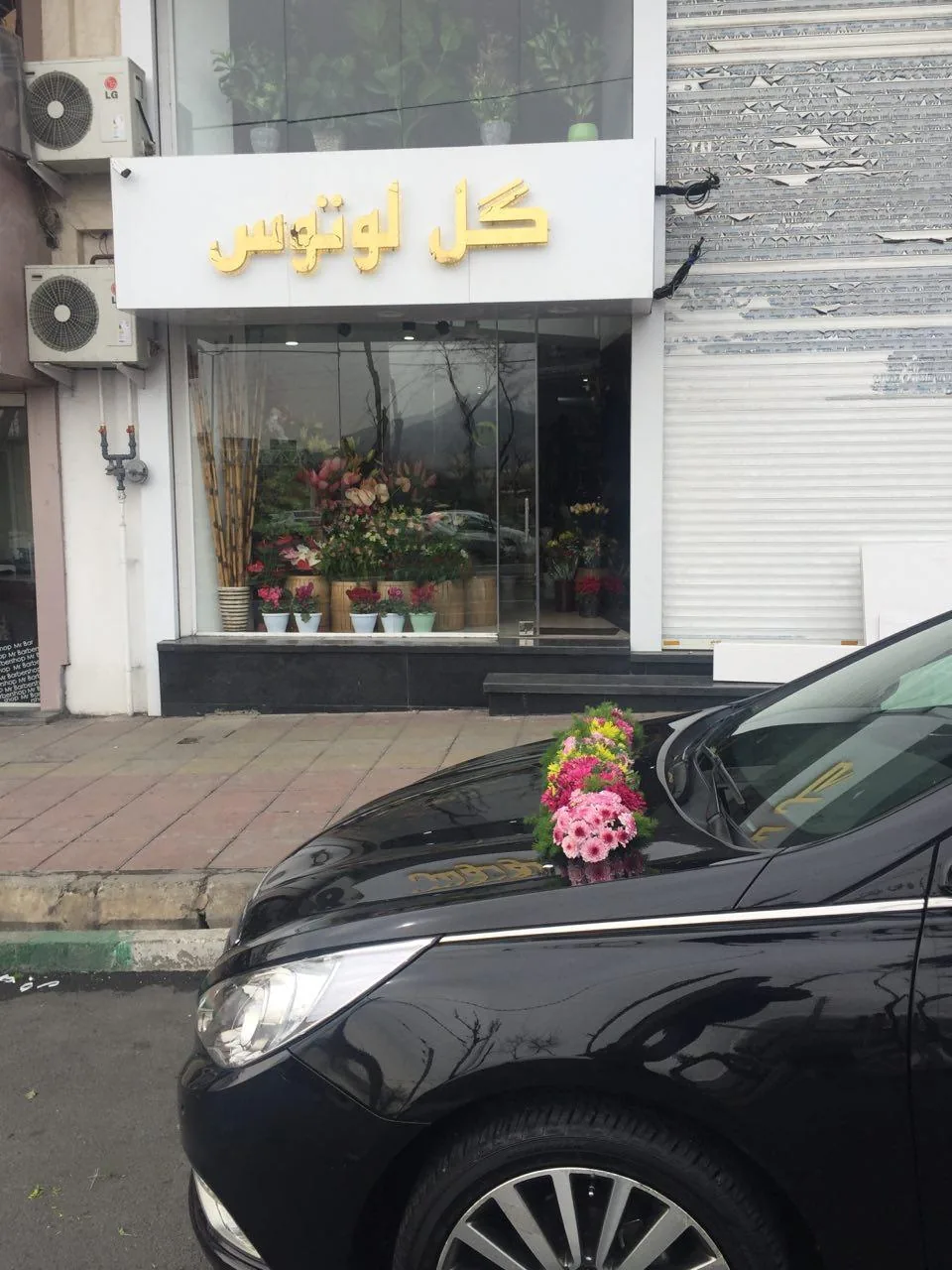 گل فروشی لوتوس