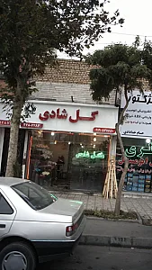 گل شادی