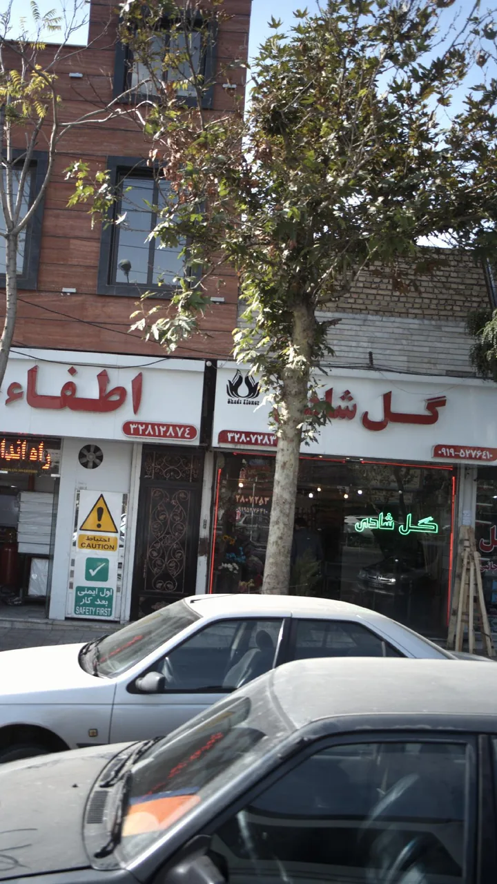 گل شادی - تصویر 2