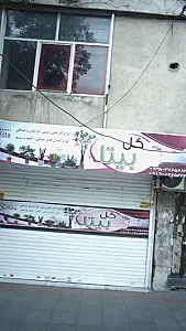 گل بیتا