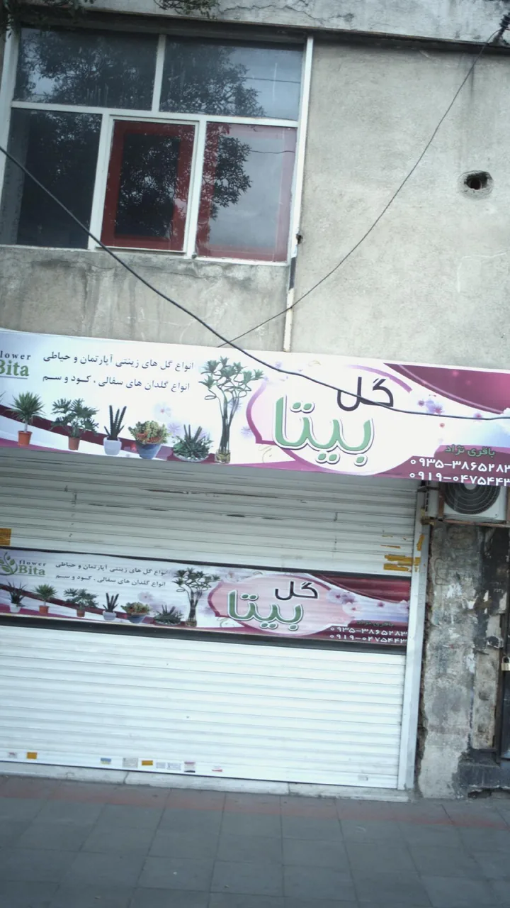 گل بیتا
