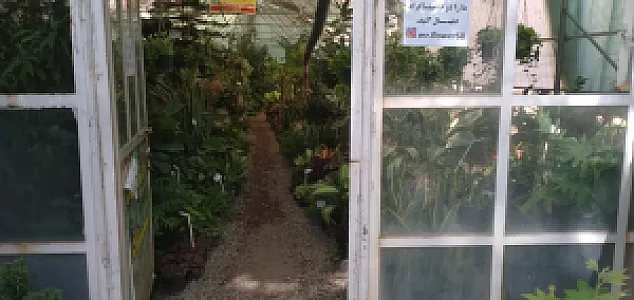 نمایشگاه و فروشگاه گل