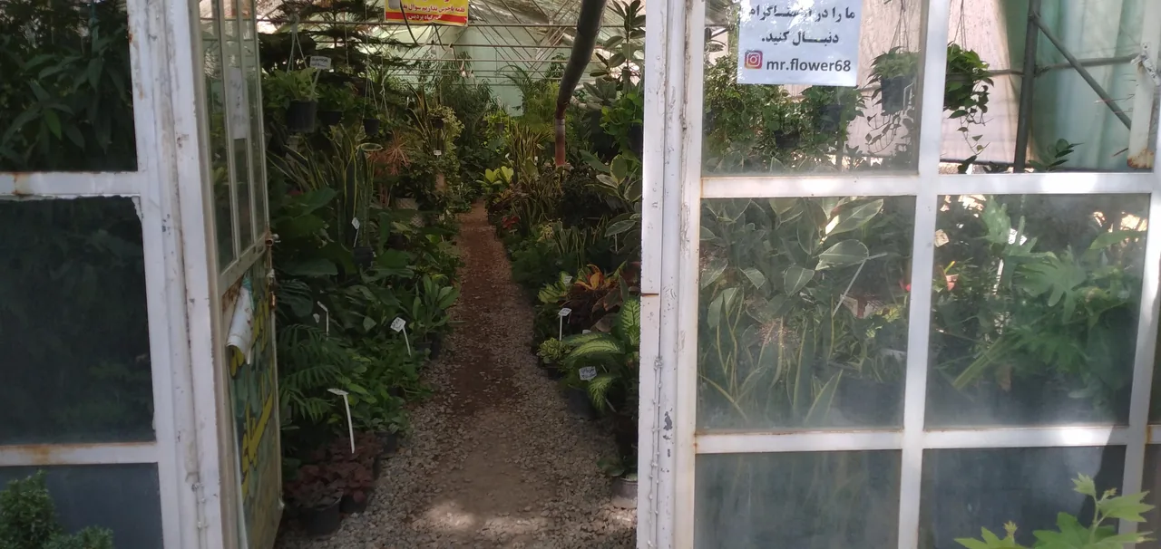نمایشگاه و فروشگاه گل