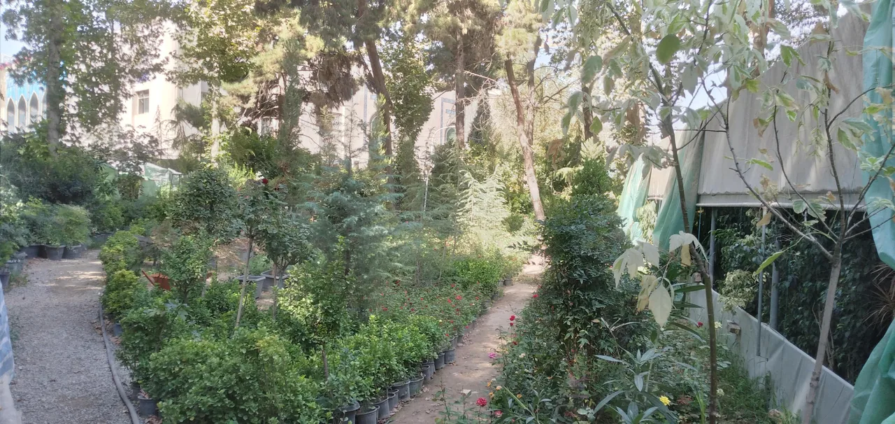 نمایشگاه و فروشگاه گل - تصویر 3