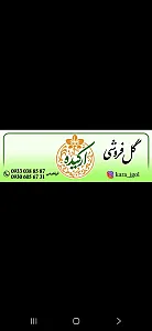 گل فروشی ارکیده