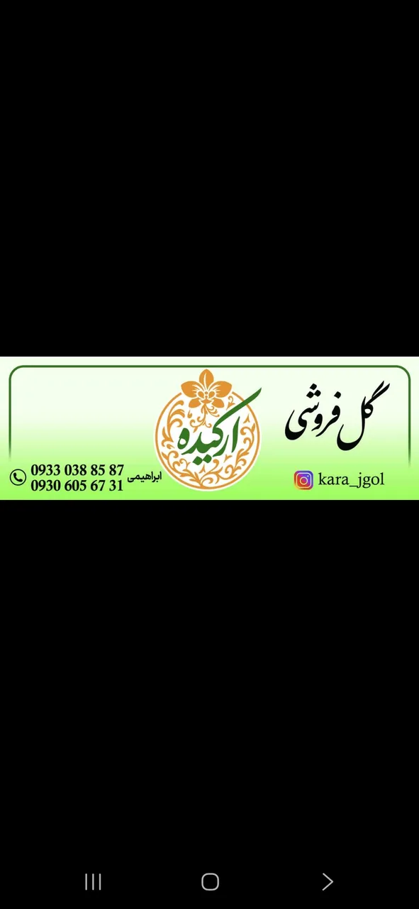 گل فروشی ارکیده