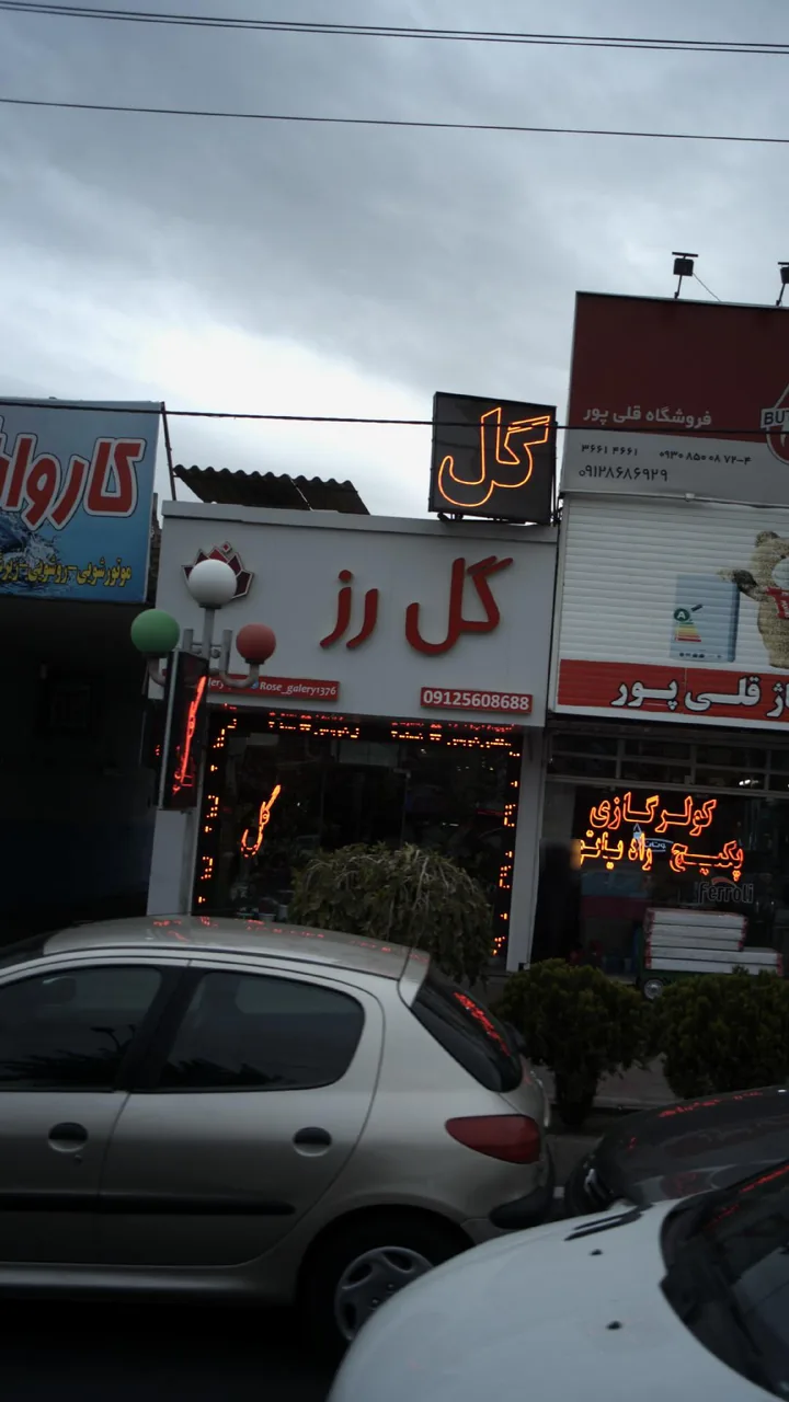 گل روز