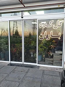گلکده باران