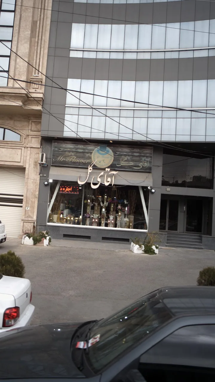 آقای گل