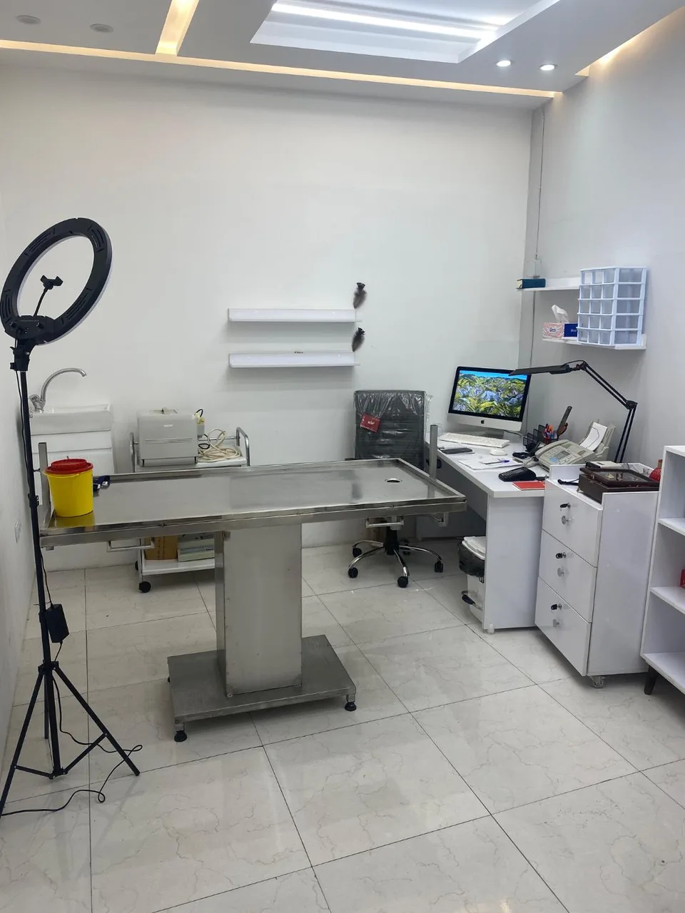 کلینیک دامپزشکی و پت شاپ شهر راز - تصویر 2