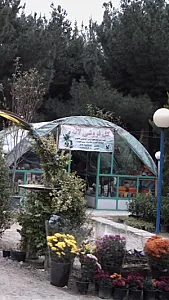 گل فروشی لاله
