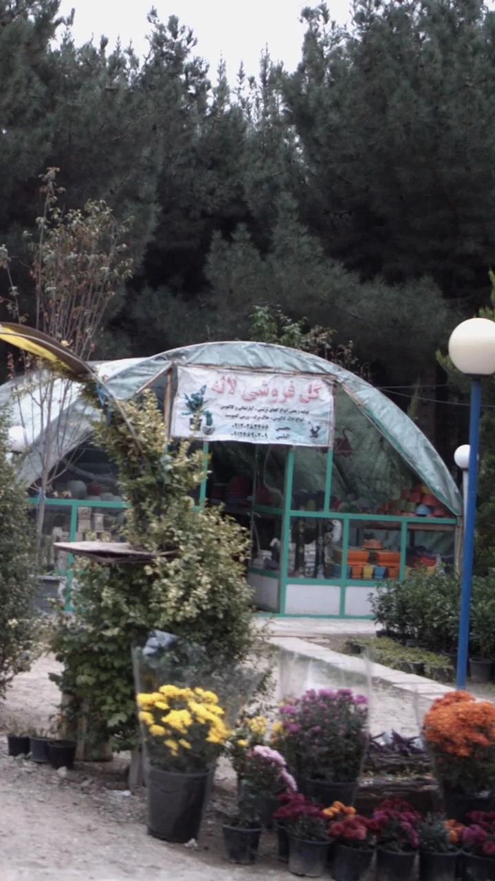 گل فروشی لاله