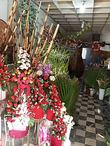 گل فروشی عمو حسن