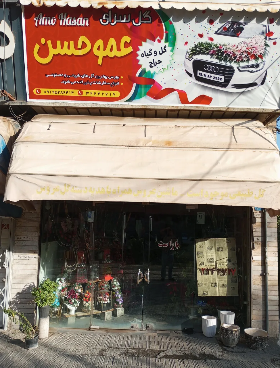 گل فروشی عمو حسن - تصویر 2