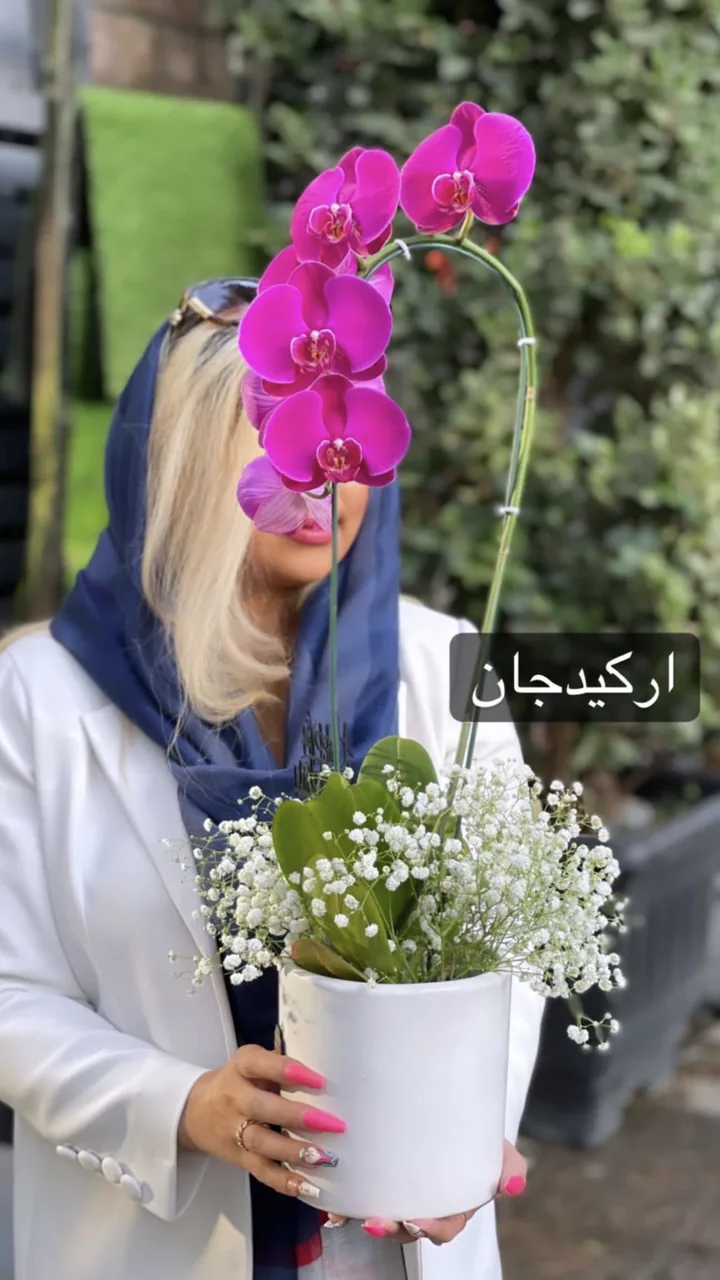 گلفروشی موگه کرج - تصویر 3