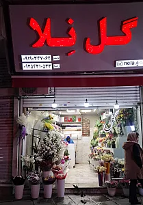 گل فروشی نلا