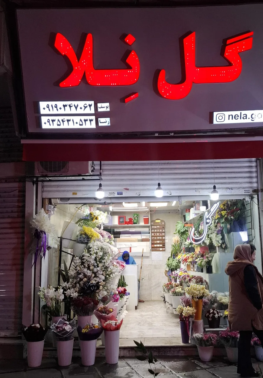گل فروشی نلا
