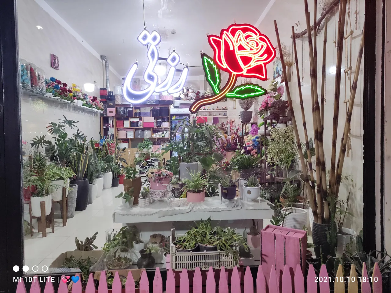 گلفروشی رُزتی - تصویر 2