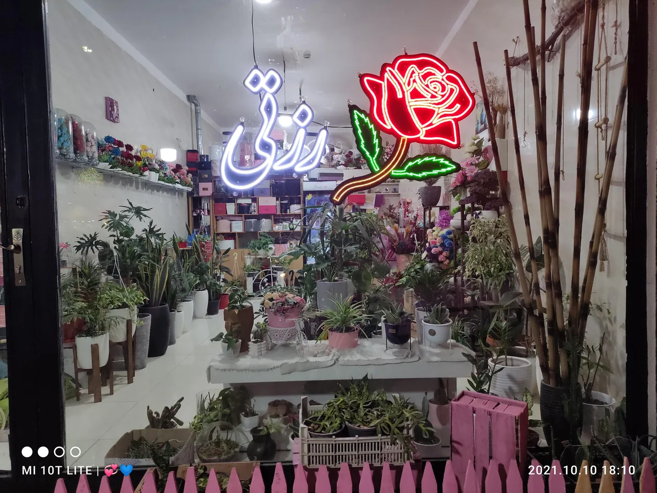 گلفروشی رُزتی - تصویر 3