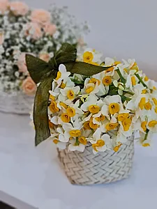 گالری گل قاصدک