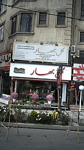 گل بهار