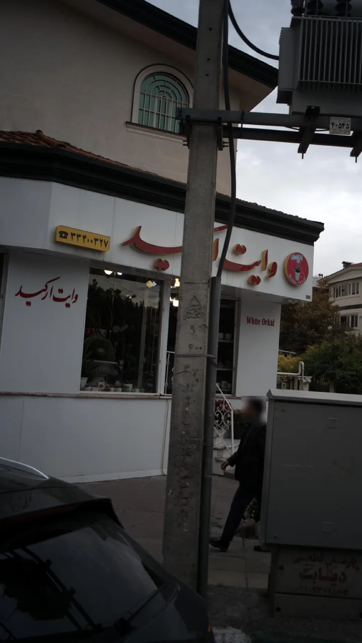 گل فروشی وایت ارکید