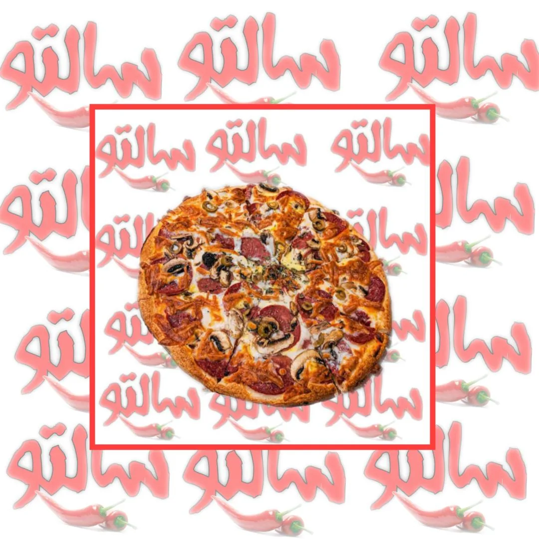 فست فود سالتو