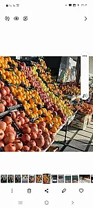 میوه فروشی عظیمیه