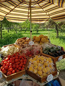 میوه فروشی لانه زنبوری