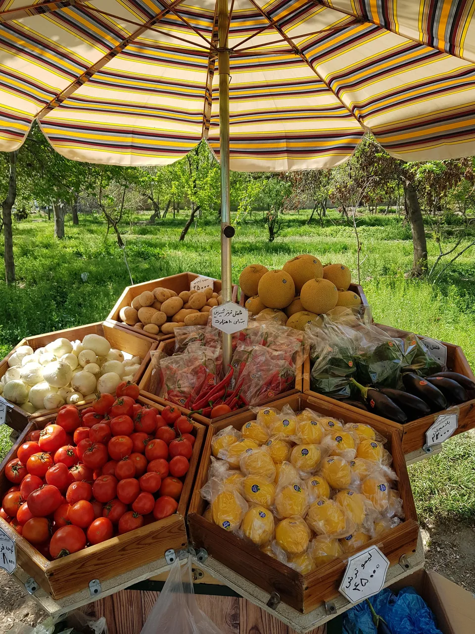 میوه فروشی لانه زنبوری